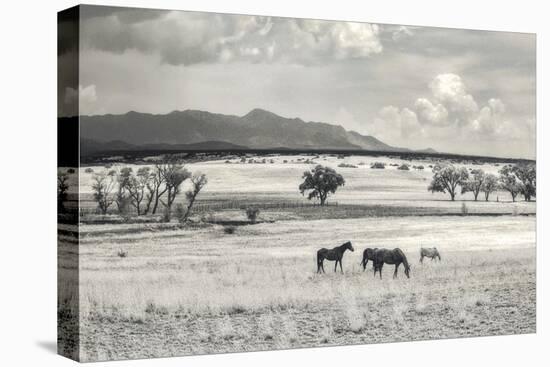 Ranchland 9 a-Murray Bolesta-Premier Image Canvas