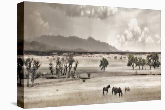 Ranchland 9-Murray Bolesta-Premier Image Canvas