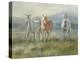 Rangeland Horses-Danhui Nai-Stretched Canvas