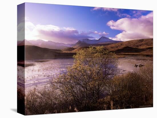 Rannoch Moor, Black Mount, Strathclyde, Scotland, United Kingdom-Kathy Collins-Premier Image Canvas