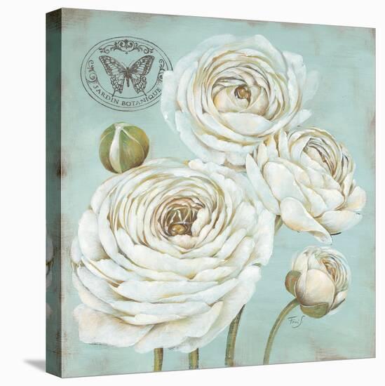 Ranunculus Stamp-Stefania Ferri-Stretched Canvas