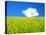 Rape Field-null-Premier Image Canvas