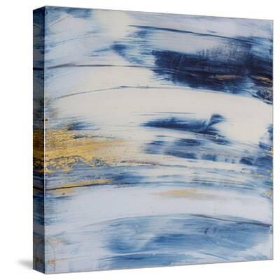 'Rapid Movements' Stretched Canvas Print Austin Allen James