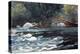 Rapids, Hudson River, 1894-Winslow Homer-Premier Image Canvas