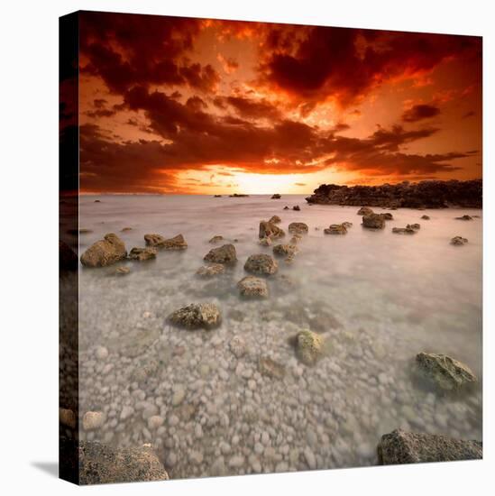 Rapsody in Red-Philippe Sainte-Laudy-Premier Image Canvas