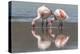 Rare James's flamingos (Phoenicoparrus jamesi), Eduardo Avaroa Andean Fauna National Reserve-Michael Nolan-Premier Image Canvas