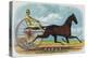 Rarus Brand Cigar Box Label, Horse Racing-Lantern Press-Stretched Canvas