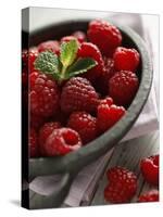 Raspberries in a Dish-Malgorzata Stepien-Premier Image Canvas