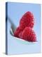 Raspberries on a Spoon-Franck Bichon-Premier Image Canvas