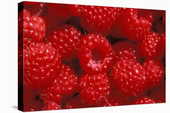 Raspberries-Kaj Svensson-Premier Image Canvas