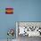 Raspberry Fantasy-Bonita Williams Goldberg-Premier Image Canvas displayed on a wall