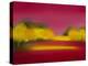 Raspberry Fantasy-Bonita Williams Goldberg-Premier Image Canvas