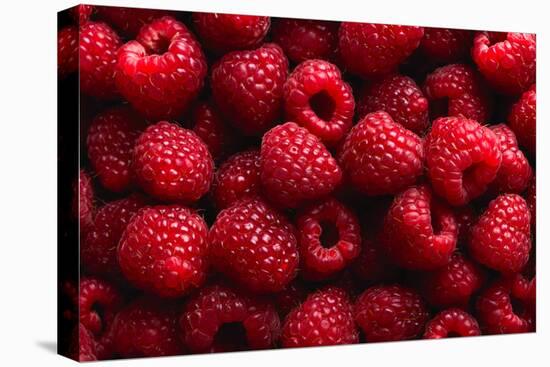 Raspberry Fruit Background-SJ Travel Photo and Video-Premier Image Canvas