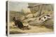 Rat Hunting, 1823-null-Premier Image Canvas