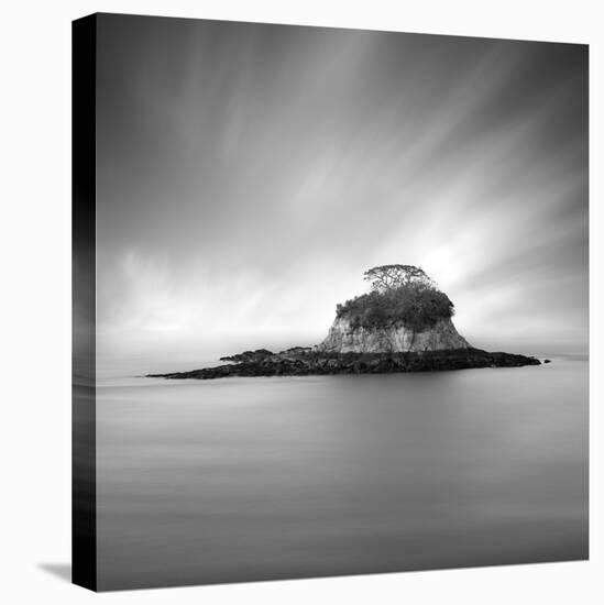 Rat Island 2-Moises Levy-Premier Image Canvas