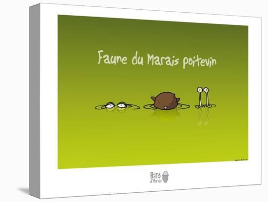 Rats d'marais - Faune poitevine-Sylvain Bichicchi-Stretched Canvas