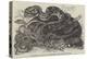 Rattlesnake and Young in the Menagerie of the Zoological Society-null-Premier Image Canvas