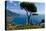 Ravello Villa Rufolo Amalfi Coast-Charles Bowman-Premier Image Canvas