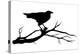 Raven Bird Silhouette-Cattallina-Stretched Canvas