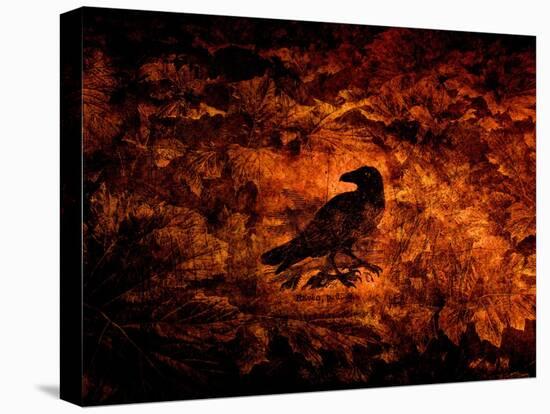 Raven in the Acanthus-Katherine Sanderson-Premier Image Canvas