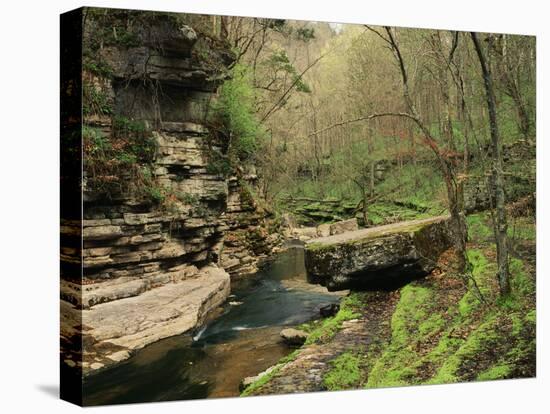 Raven Run Nature Sanctuary, Lexington, Kentucky, USA-Adam Jones-Premier Image Canvas