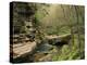 Raven Run Nature Sanctuary, Lexington, Kentucky, USA-Adam Jones-Premier Image Canvas