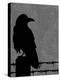 Raven-Joanne Paynter Design-Premier Image Canvas