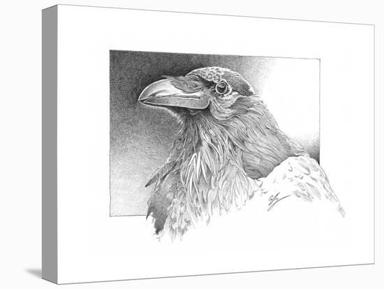 Ravens Head-Durwood Coffey-Premier Image Canvas