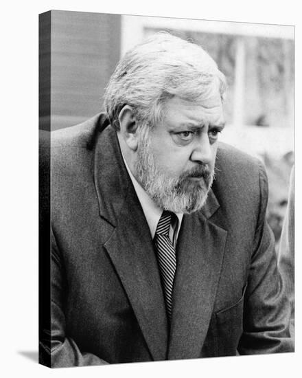 Raymond Burr - Perry Mason Returns-null-Stretched Canvas