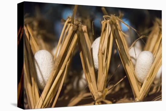 Razing silkworms, Gassho-zukuri house, Ainokura Village, Gokayama, Japan-Keren Su-Premier Image Canvas