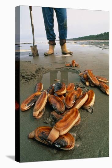 Razor Clams Dug Up on a Beach-David Nunuk-Premier Image Canvas