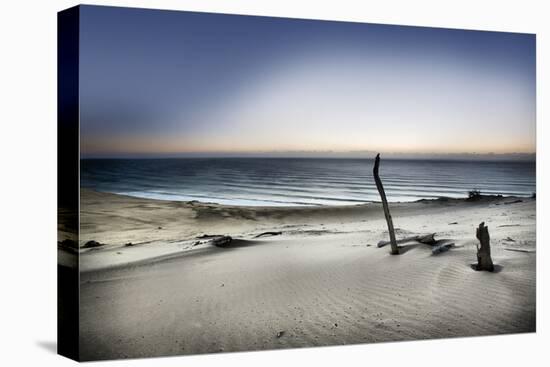 Reach for the Sun-Mel Brackstone-Premier Image Canvas