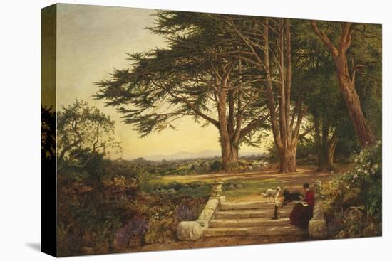 Reading on the Terrace Steps-Benjamin Williams Leader-Premier Image Canvas