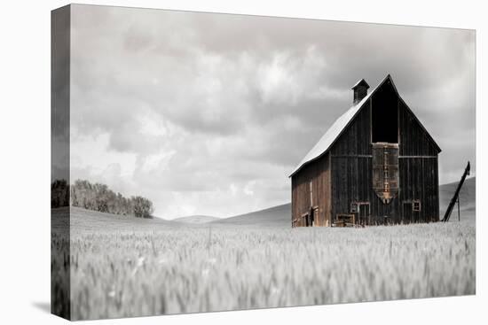 Ready for Harvest-Danita Delimont-Stretched Canvas