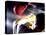 Rear View of a Boxer Punching a Punching Bag-null-Premier Image Canvas