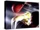 Rear View of a Boxer Punching a Punching Bag-null-Premier Image Canvas