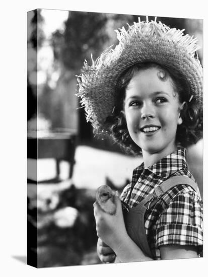 Rebecca of Sunnybrook Farm, Shirley Temple, 1938-null-Stretched Canvas