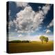 Rebel Sun-Philippe Sainte-Laudy-Premier Image Canvas