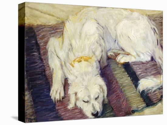 Reclining Dog (Portrait of a Dog), 1909-Franz Marc-Premier Image Canvas