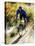 Recreational Mountain Biker Riding on the Trails-null-Premier Image Canvas