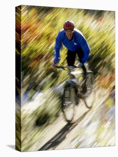 Recreational Mountain Biker Riding on the Trails-null-Premier Image Canvas