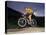 Recreational Mountain Biker Riding on the Trails-null-Premier Image Canvas