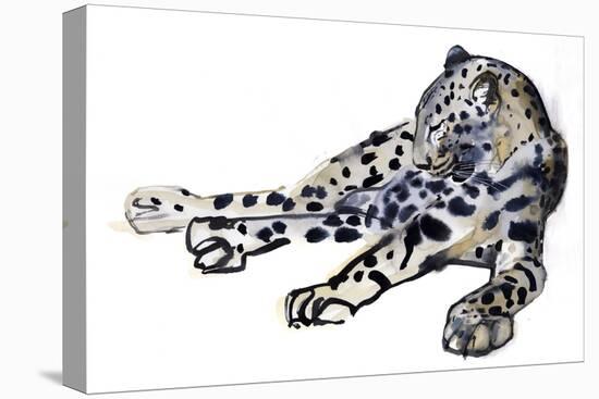 Recumbent (Arabian Leopard), 2008-Mark Adlington-Premier Image Canvas