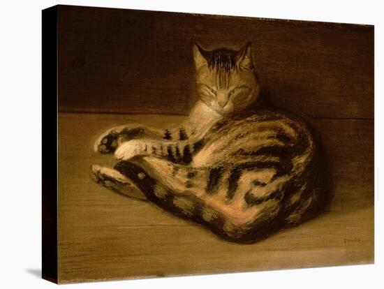 Recumbent Cat, 1898-Théophile Alexandre Steinlen-Premier Image Canvas