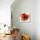 Red Abstract Brush Splash Flower I-Irena Orlov-Stretched Canvas displayed on a wall