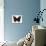 Red Admiral Butterfly-Lizzie Harper-Premier Image Canvas displayed on a wall