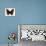 Red Admiral Butterfly-Lizzie Harper-Premier Image Canvas displayed on a wall