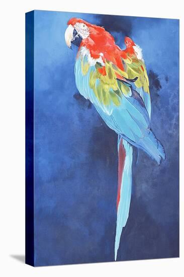 Red and Blue Macaw, 2002-Odile Kidd-Premier Image Canvas