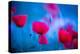 Red and blue-Marco Carmassi-Premier Image Canvas