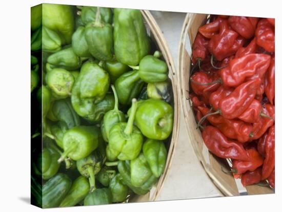 Red and Green Shishito Peppers-Andrea Sperling-Premier Image Canvas